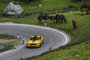 ford mustang w dolomitach 78