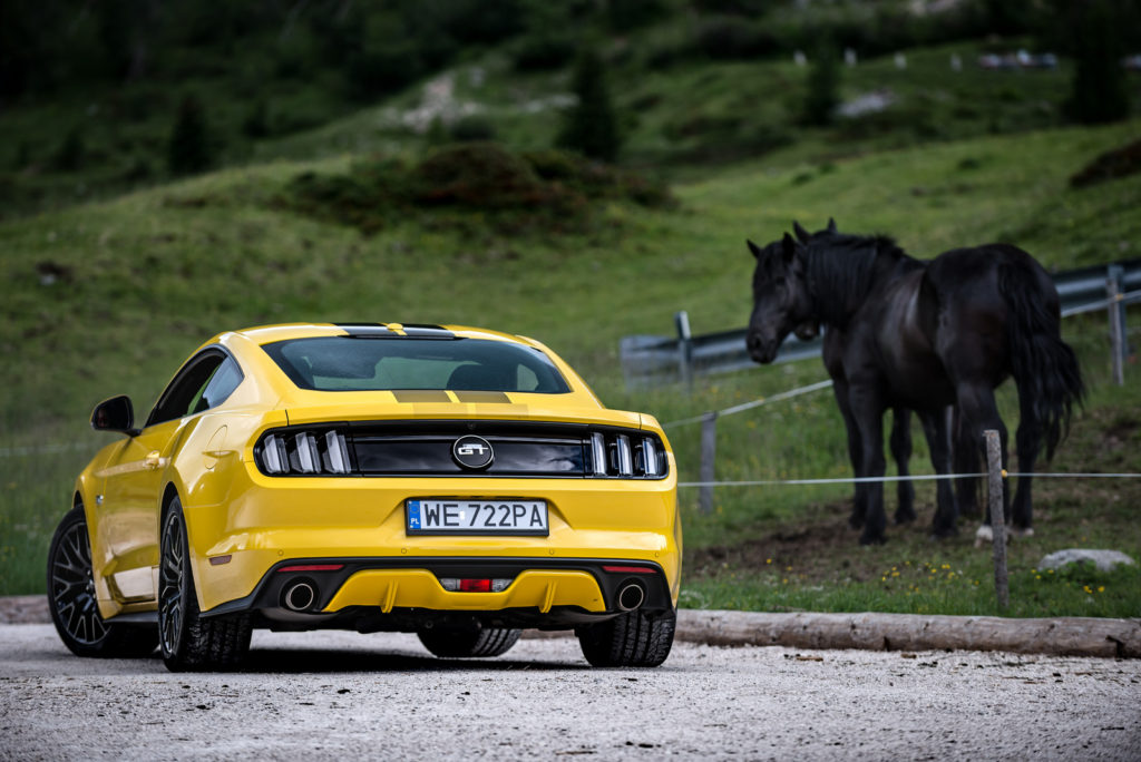 Fort Mustang GT (V8) opinia