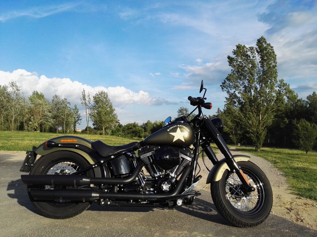 Harley Davidson slimtail S